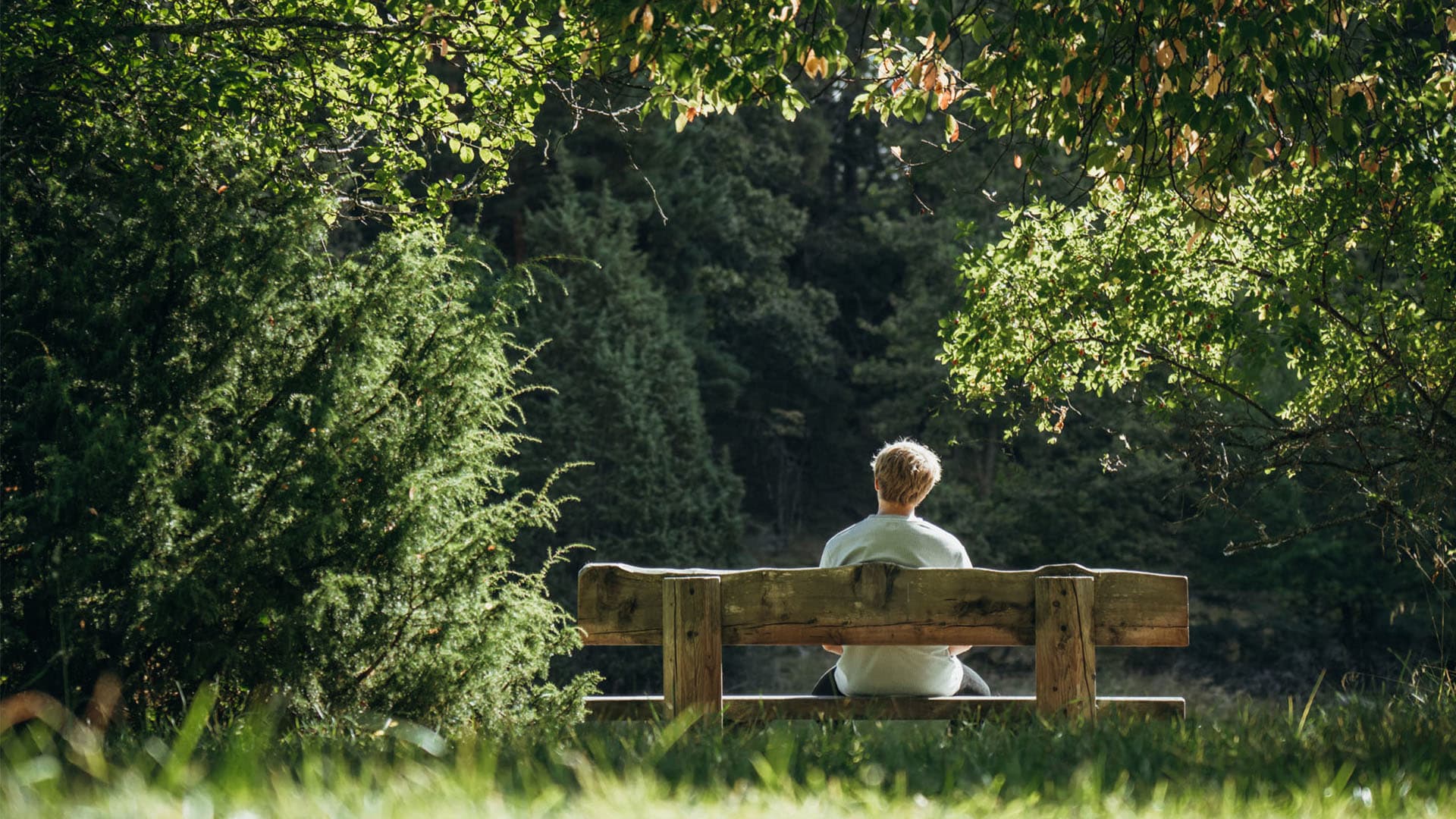 Bild: Kille sitter på en bänk i skogen.