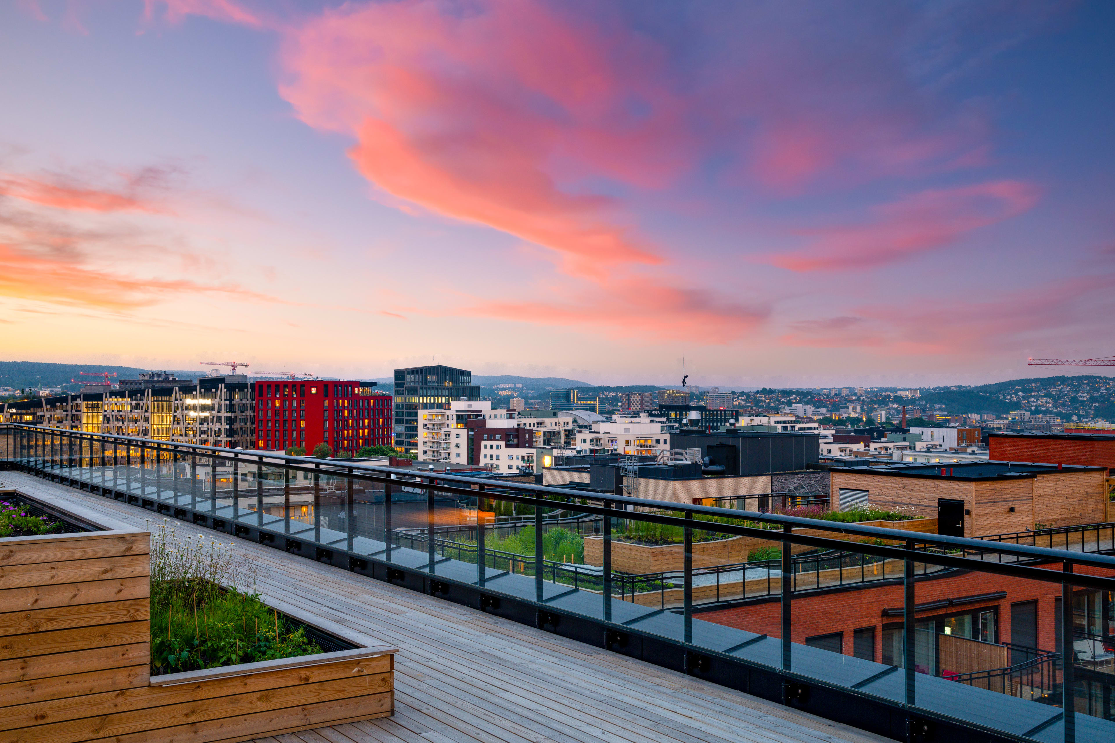 Bilde tatt fra en takterrasse i Løren botaniske med utsikt over Oslo og en lilla kveldshimmel