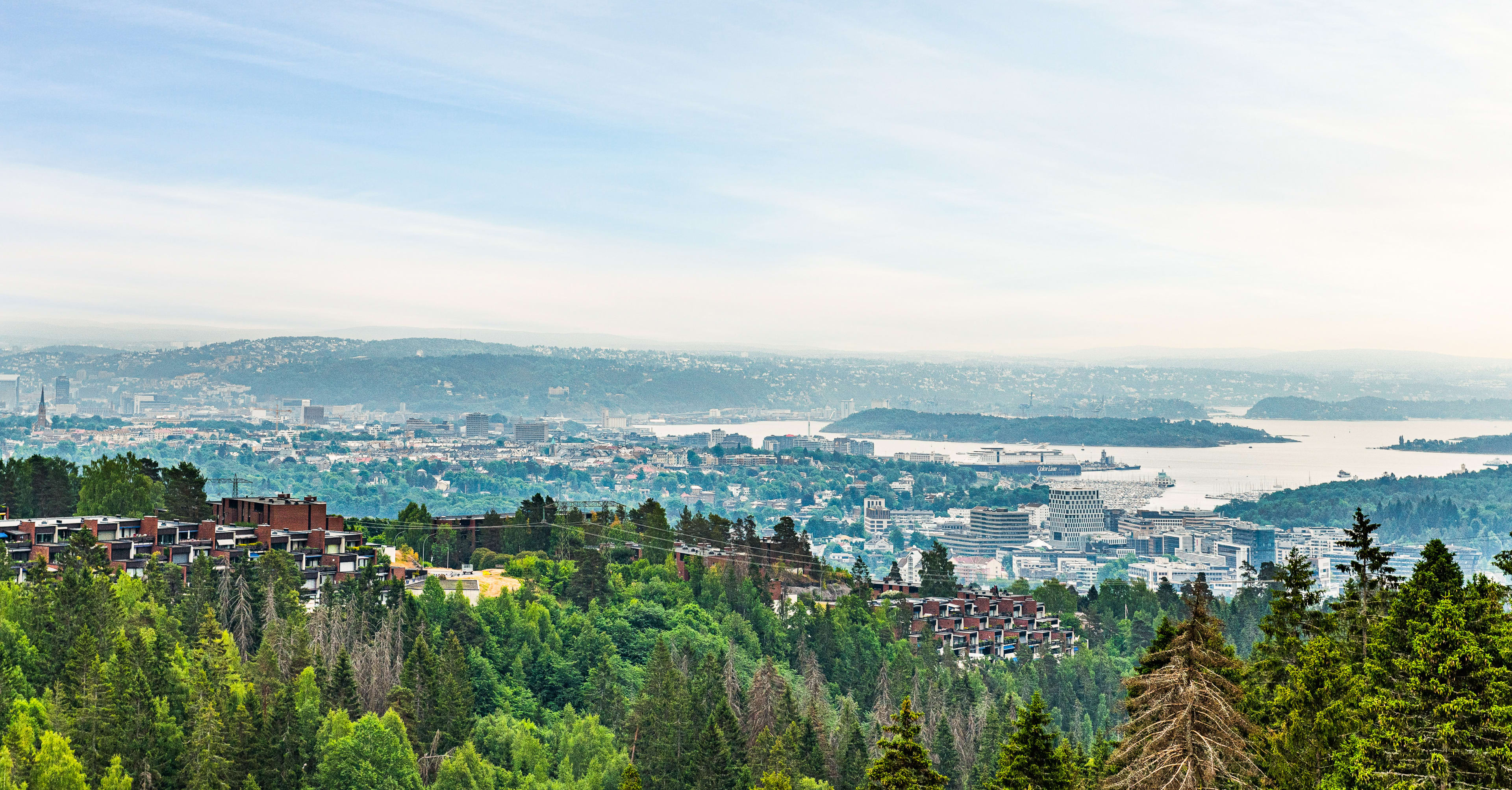 Bilde av utsikten over Røakollen og Oslo