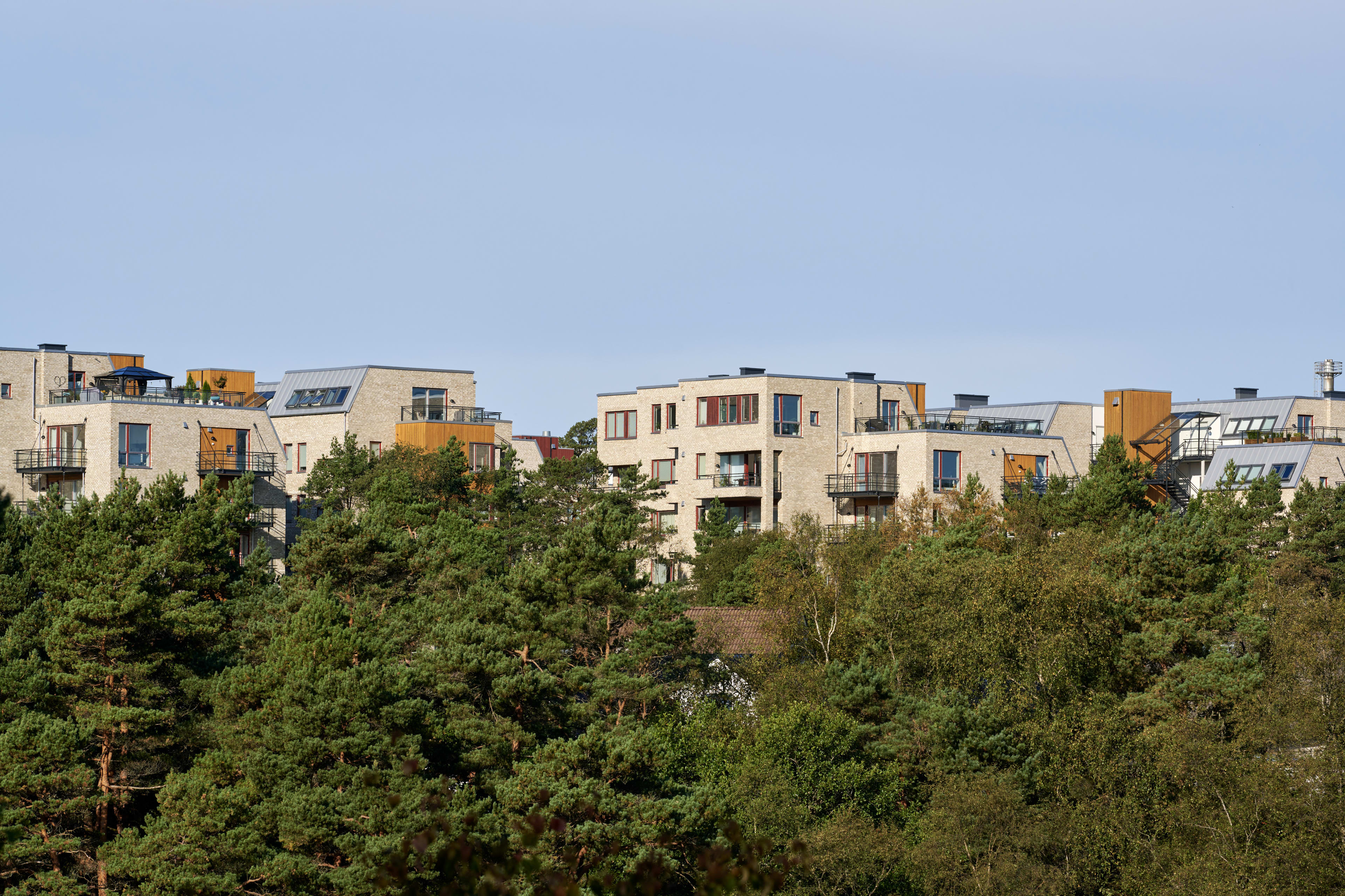 Foto av byggene i Sandsliåsen med skog foran i sola.