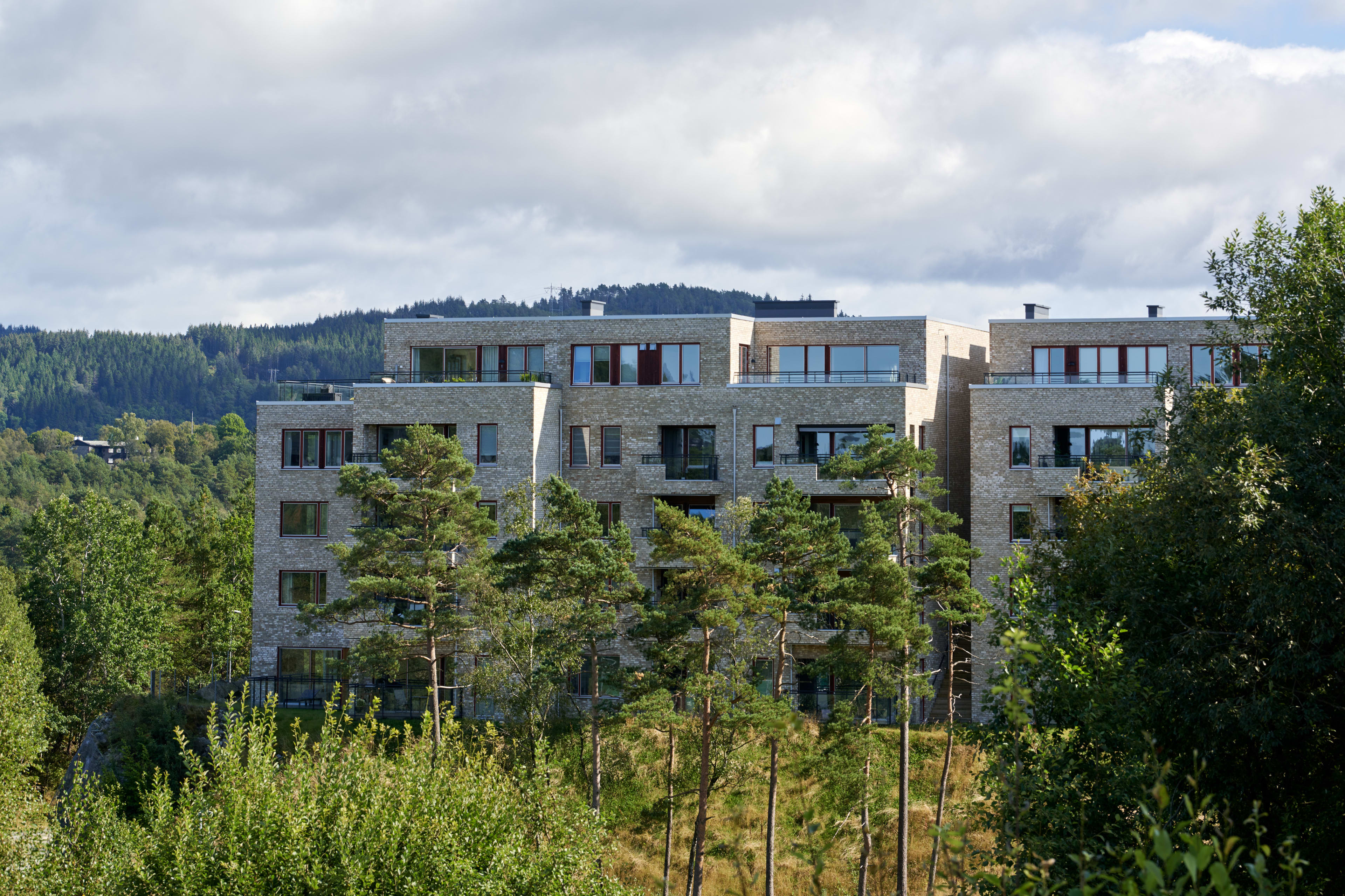 Foto av byggene i Sandsliåsen langt unna med skogen foran.