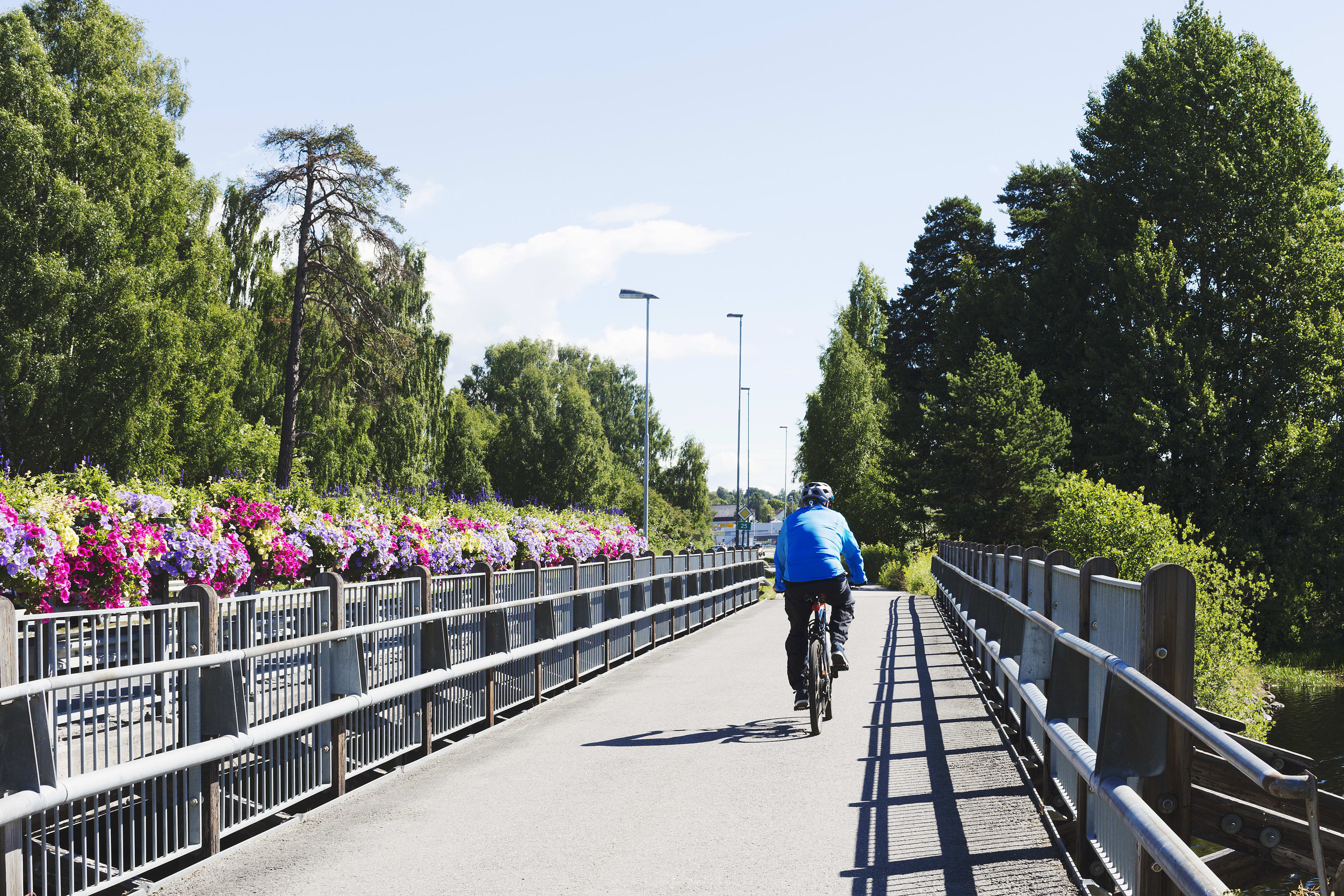 En mann i blå jakke sykler inn til Hamar over en bro med store blomsterkasser