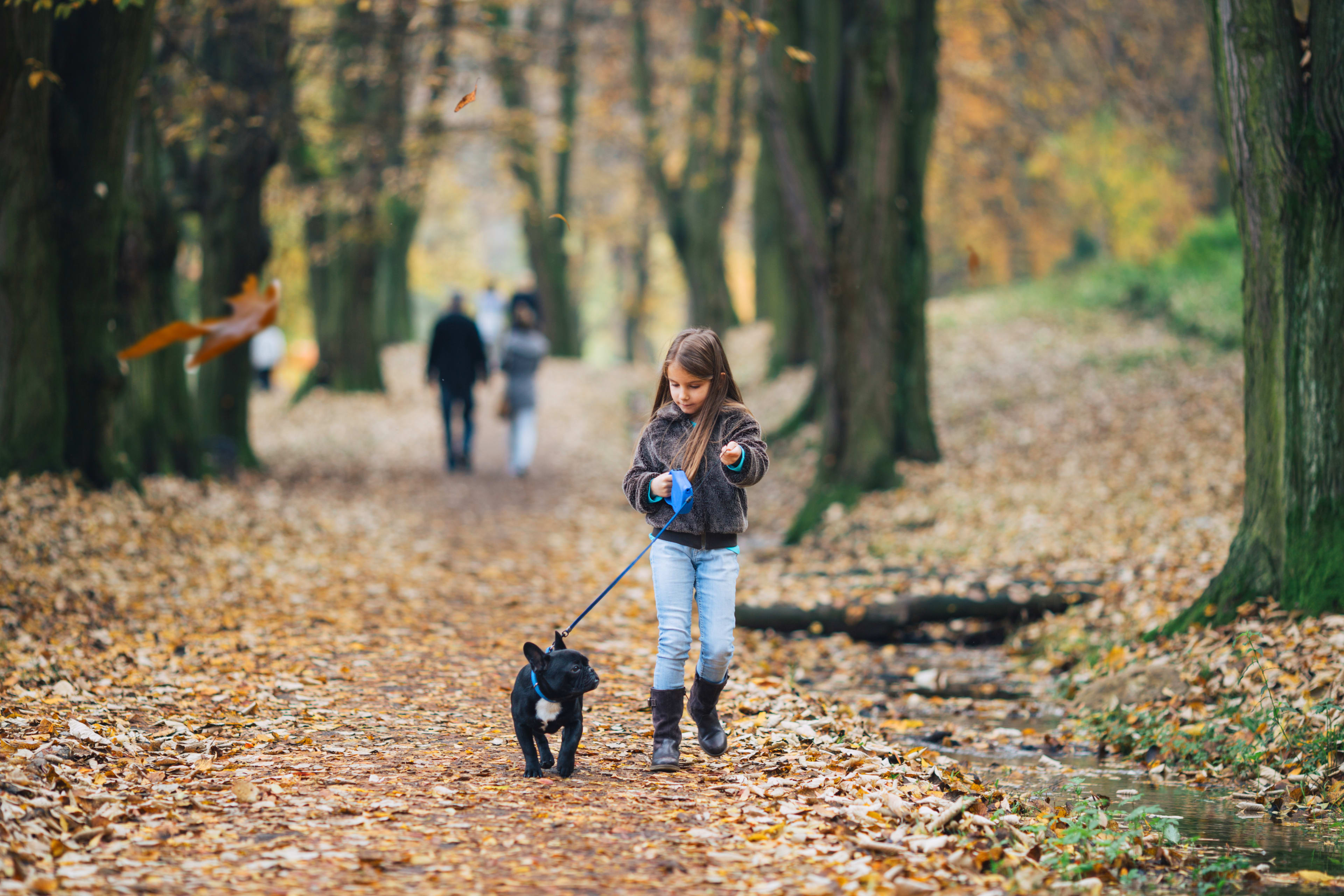 Et barn som går tur med en liten hund på Frysja om høsten.