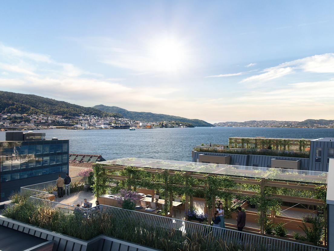Illustrasjon av takterrassene på Nøstebukten brygge