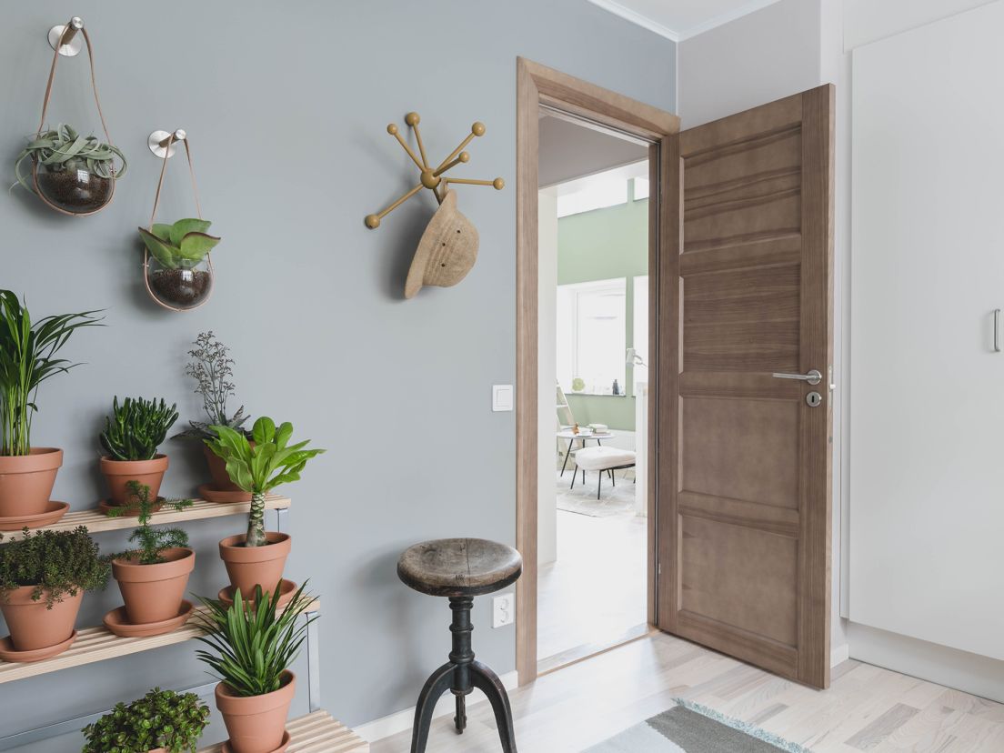 växter inomhus mot en vägg