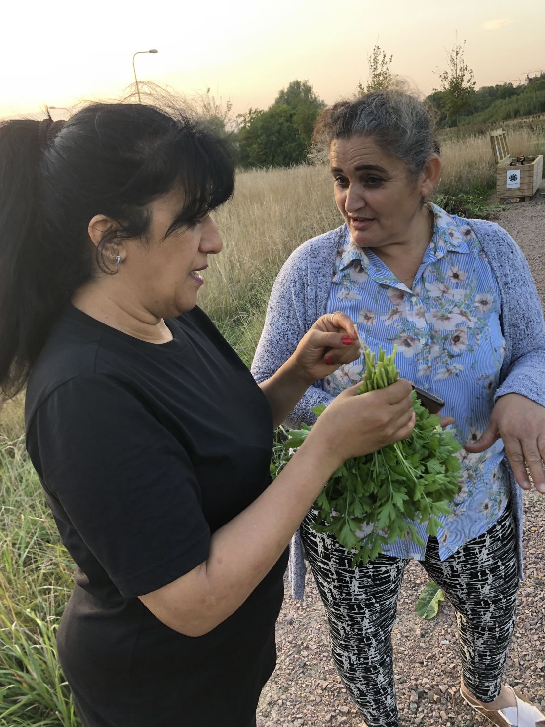 Två damer odlar i kvarteret ängsladan i lund