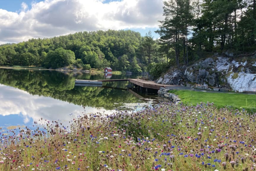 Slik er Drangsvanns nabolag