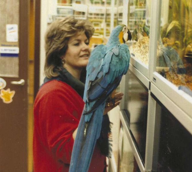 Wenche Juul og Ara-papegøyen Charlie ser på dyrene i glassburene. Charlie står på armen til Wenche.