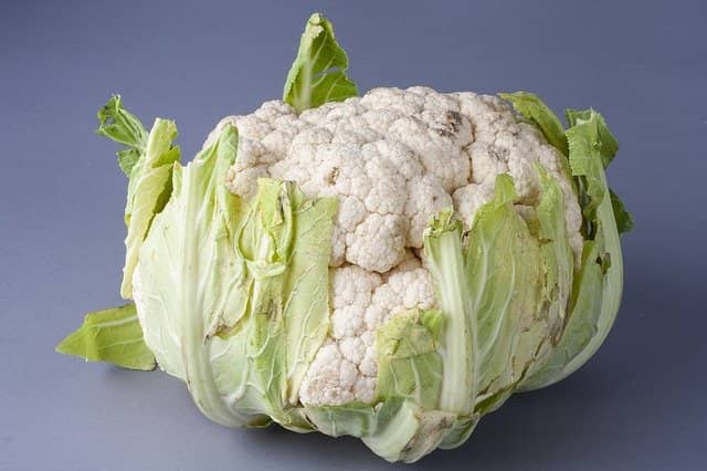 Can Rabbits Eat Cauliflower? Floret, Leaves & Stalks