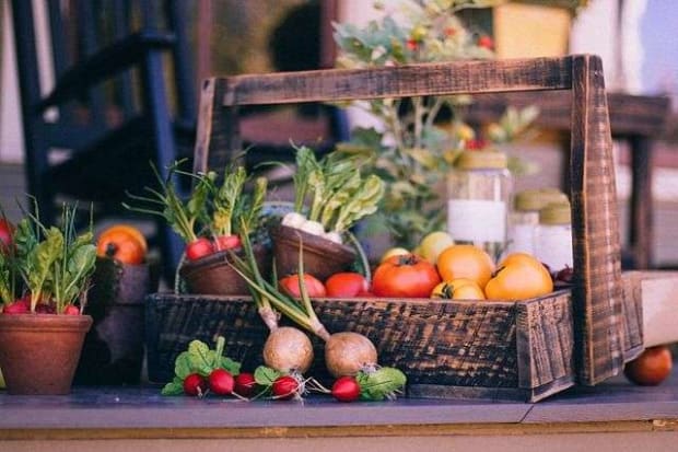 What are radishes What-are-radishes