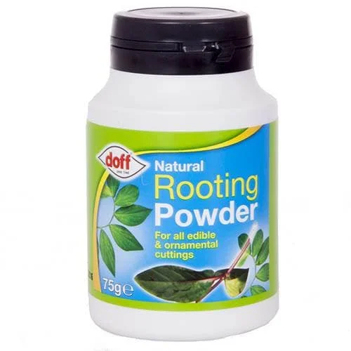 Doff Natural Rooting Powder 75g