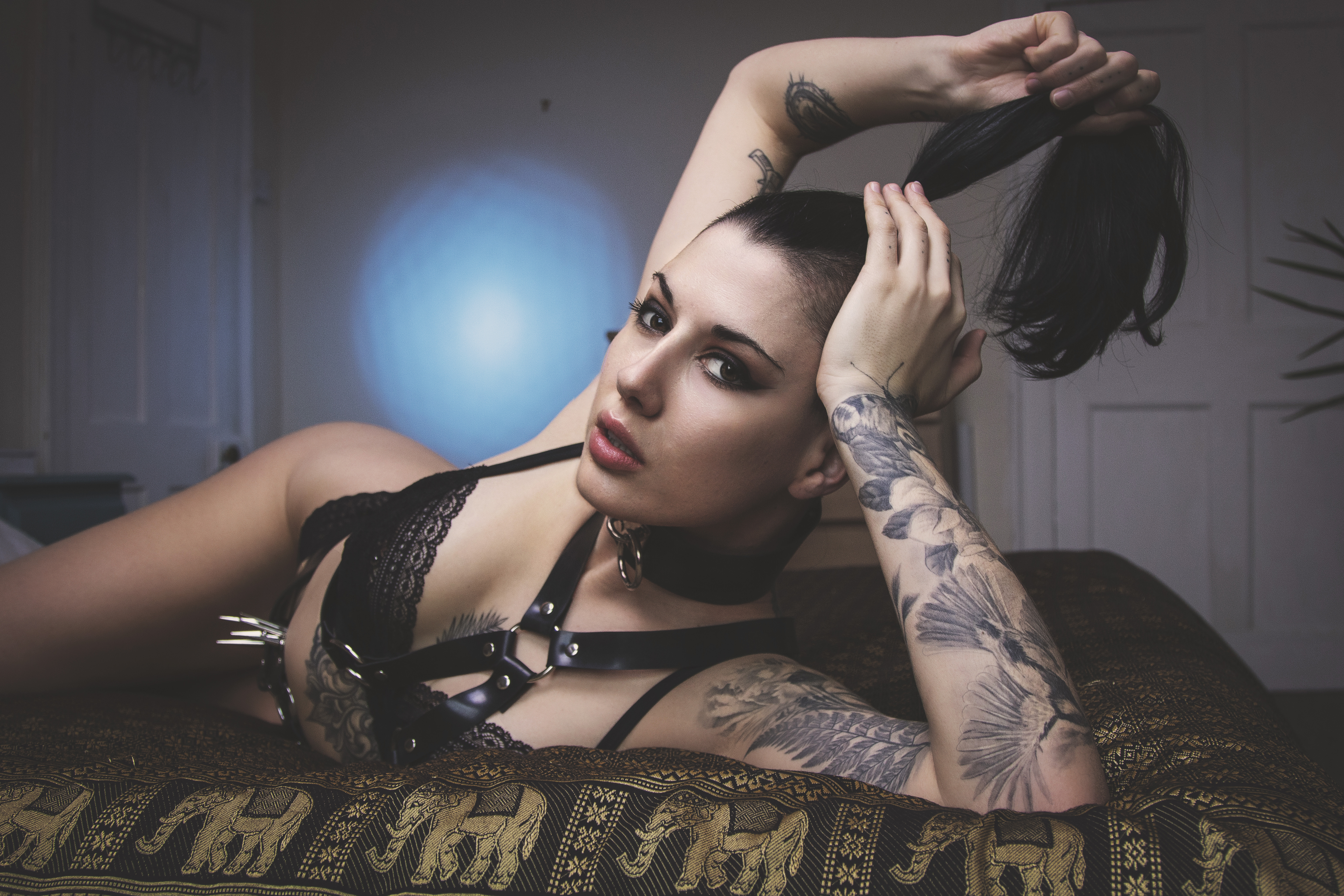Intimate boudoir portrait of Roughened Rose Bud, a tattooed brunette model lying on a bed with gold patterned bedding, captured by Carl Hewlett for Obsidian Noir. She is wearing black lace lingerie and a strappy leather chest harness, looking directly at the camera while holding her hair up. A circular blue light is projected on the wall behind her.