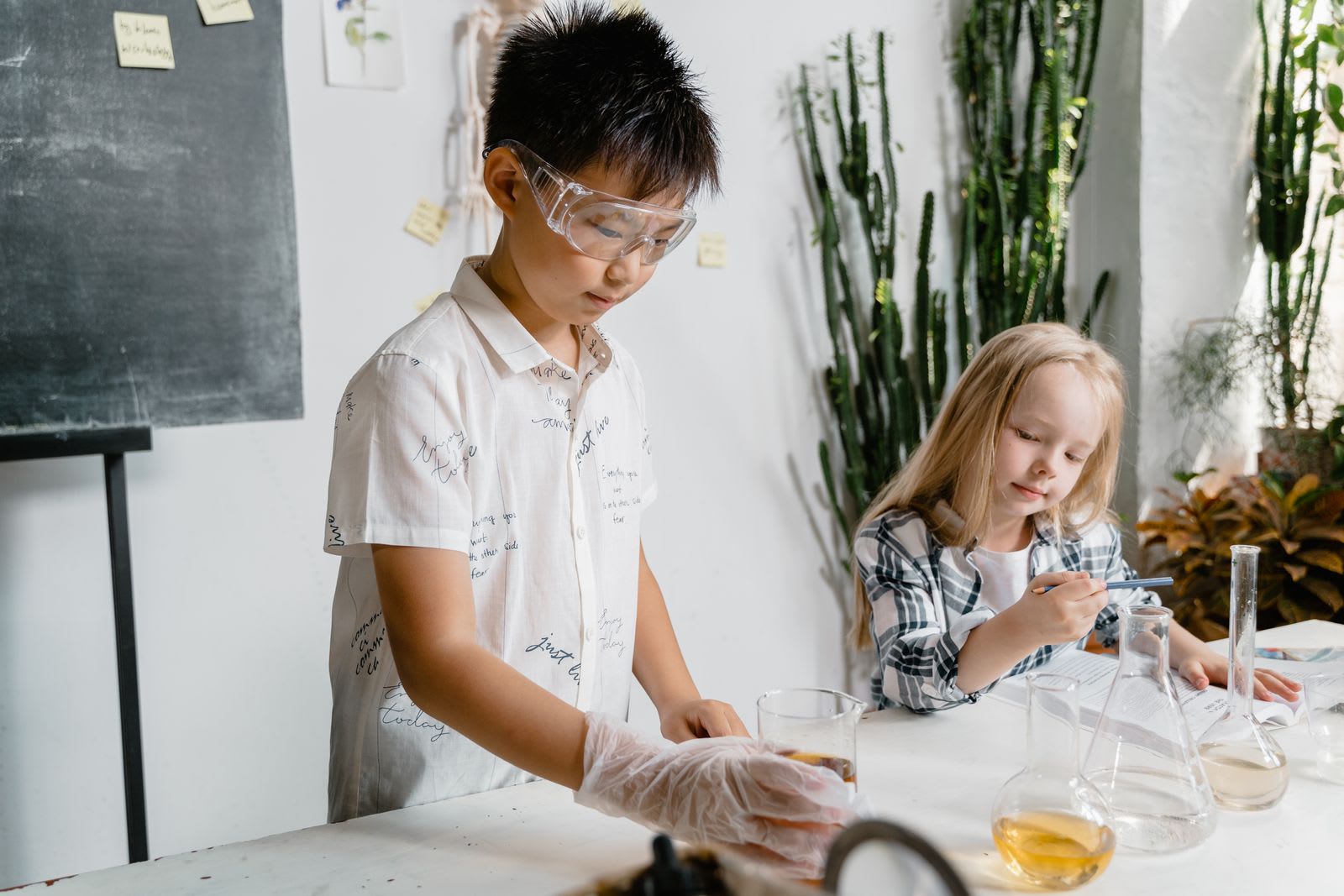 Science & Innovation Fair
