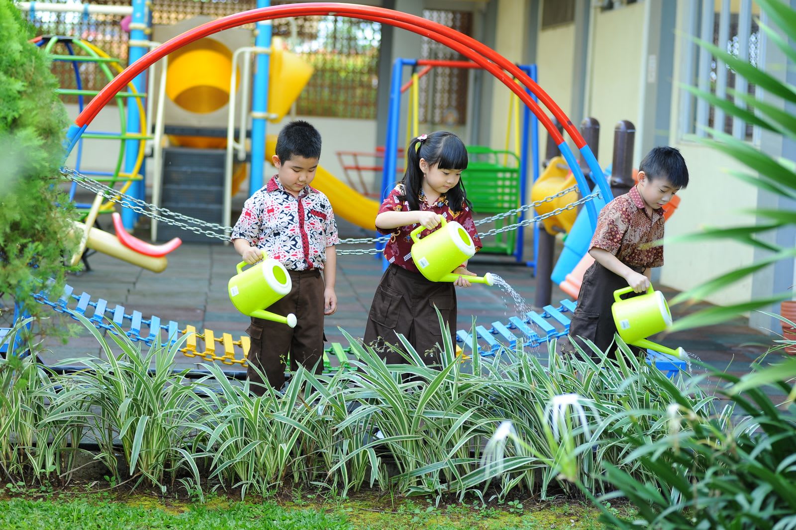 Growing beans in the gardening club