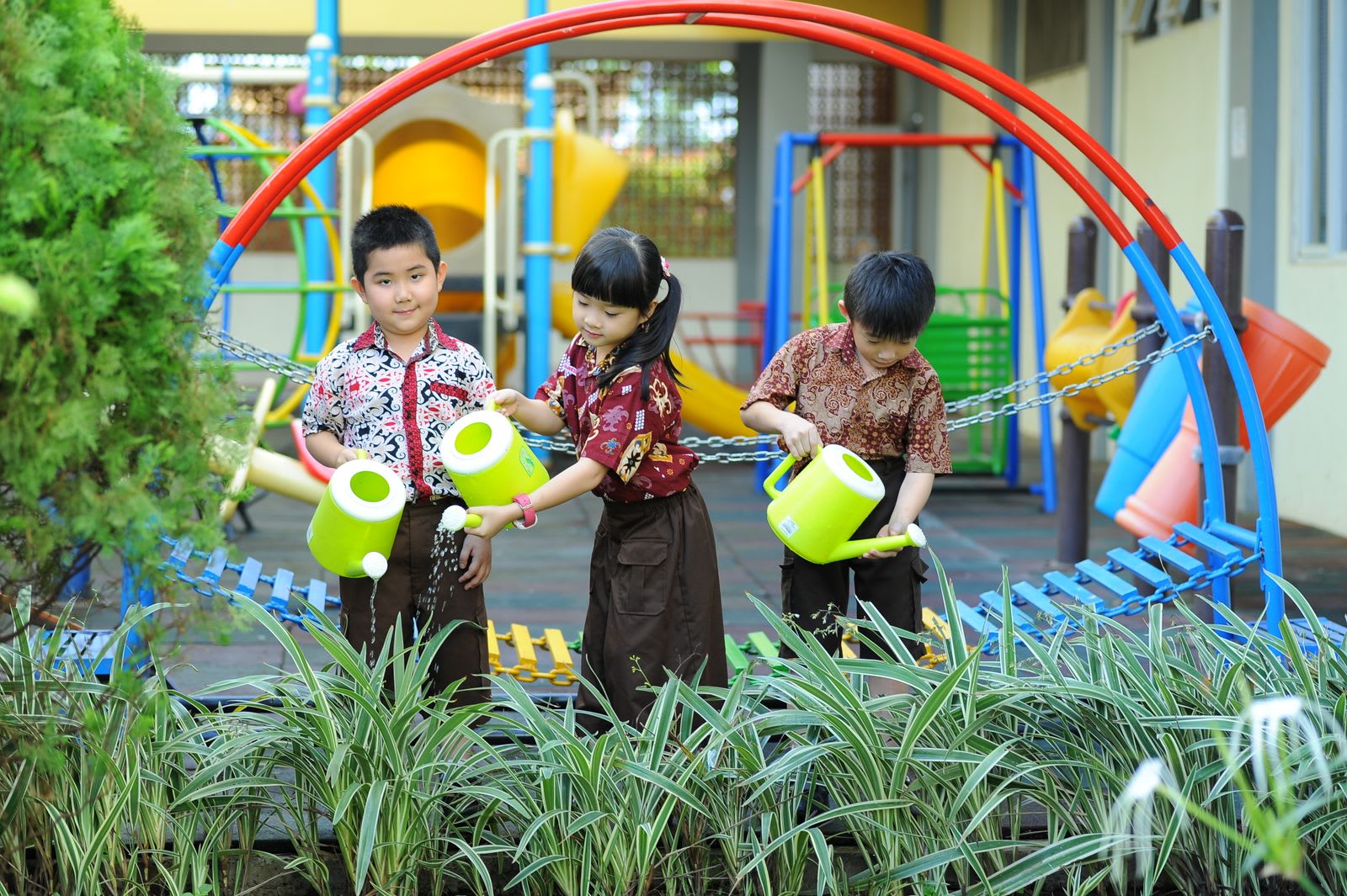 Planting day in the school garden