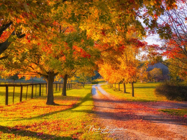 Monday Fallscape WOW! - Fall Landscape Master Series! (4-Week Series)
