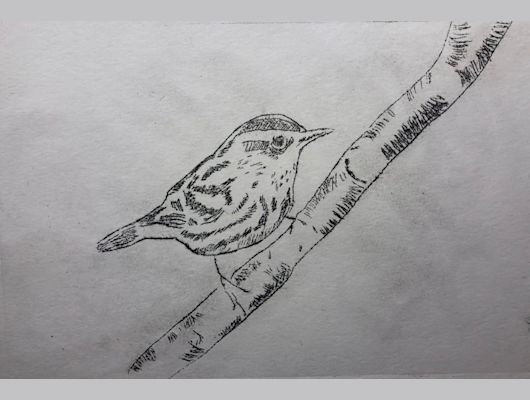 Drypoint Etching-Printmaking Process Class