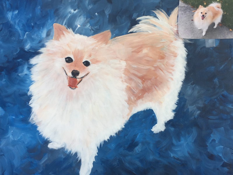 Pet Portrait Humane Society Of Utah All Ages
