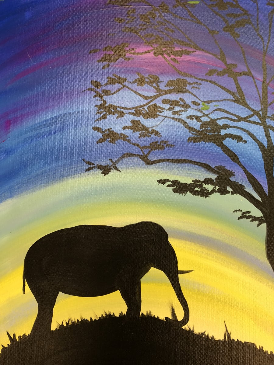 Elephant Sunset with Niki! Photo