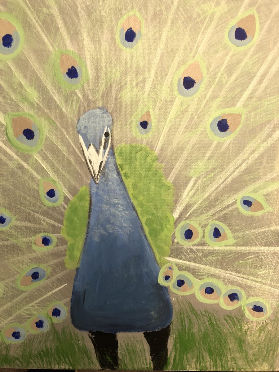 Pastel Peacock with Niki! Photo