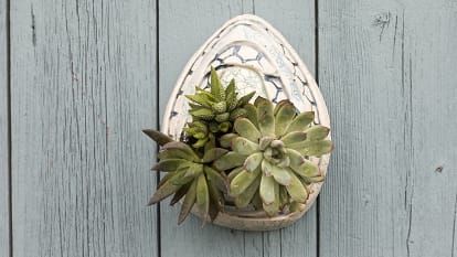 Create with Clay - Wall Planter Photo