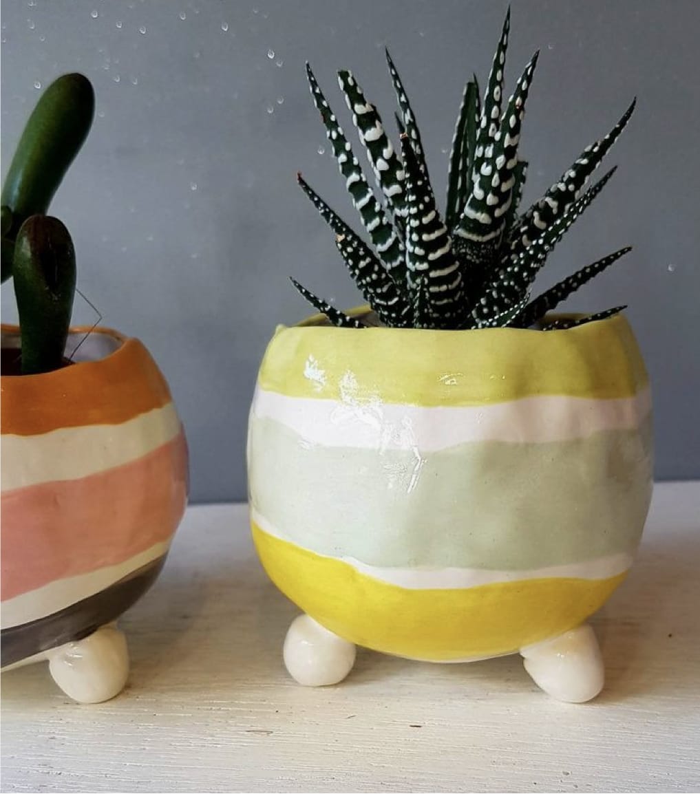 Clay hand building-Planter Photo