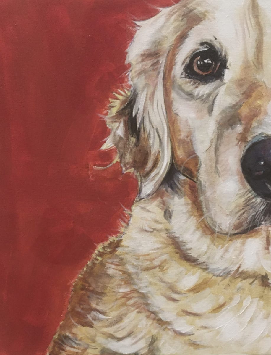 Foto de PAINT YOUR PET (€50)