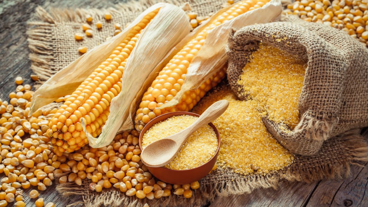 Virtual Cook Along: Polenta and Grits Workshop Photo