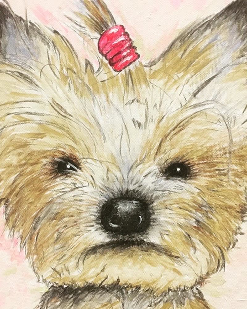 Foto de PAINT YOUR PET / PINTA A TU MASCOTA (€45.00)