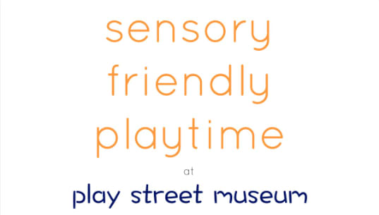 Sensory Friendly Playtime