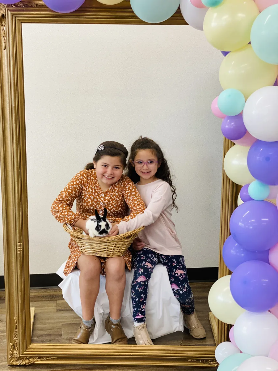 Live Bunnies, Photos & Play Photo