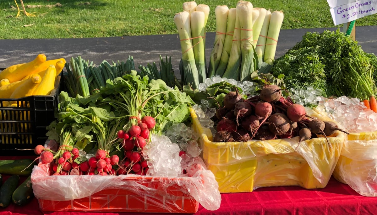 Pickling and Quickaling Veggies and Fruits Photo