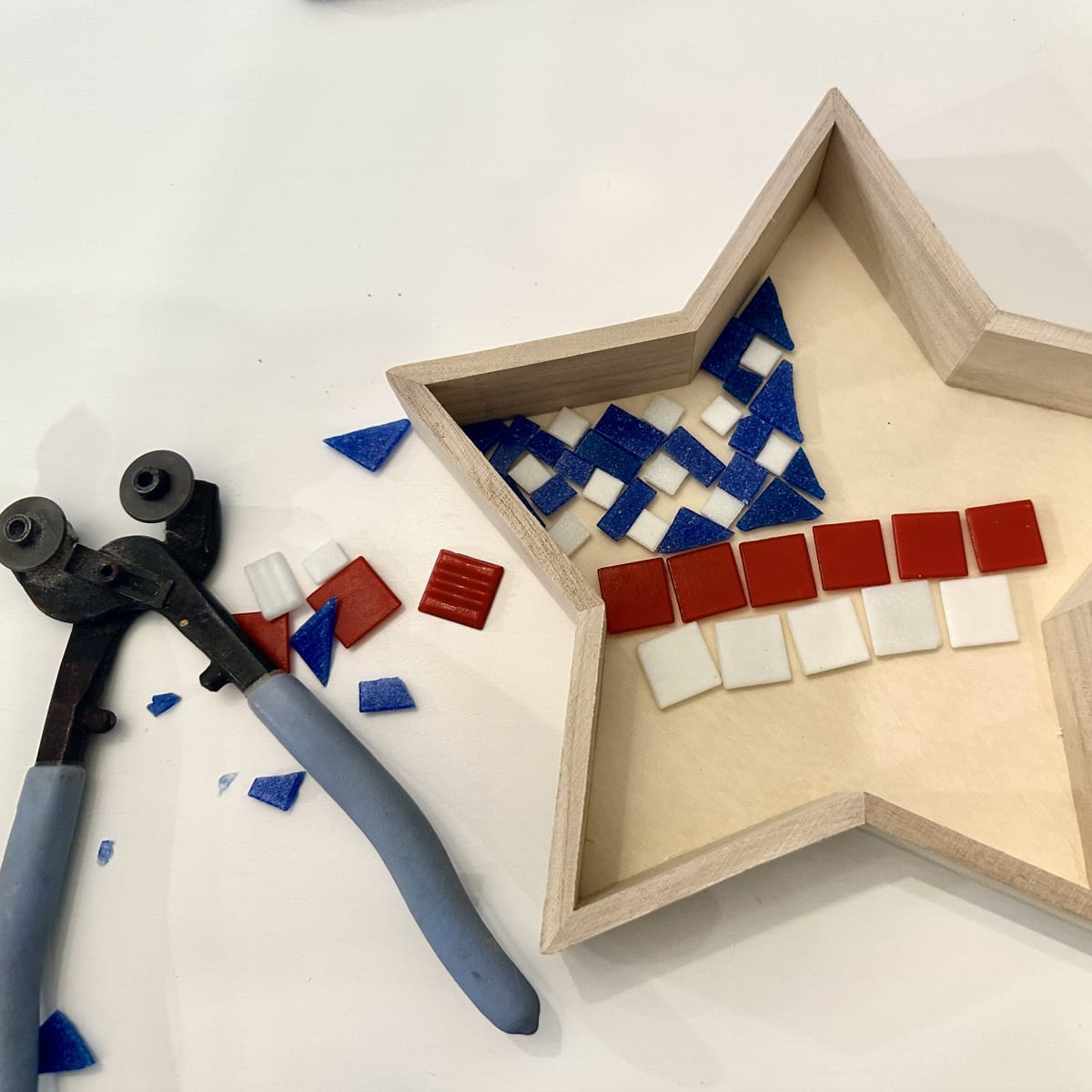 Mosaics 101 Photo