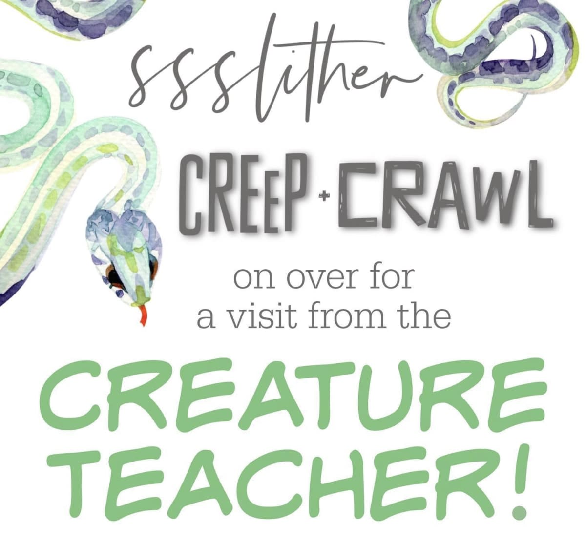 The Creature Teacher - Mammals, Reptiles & More! - PLAY STREET MURPHY Photo