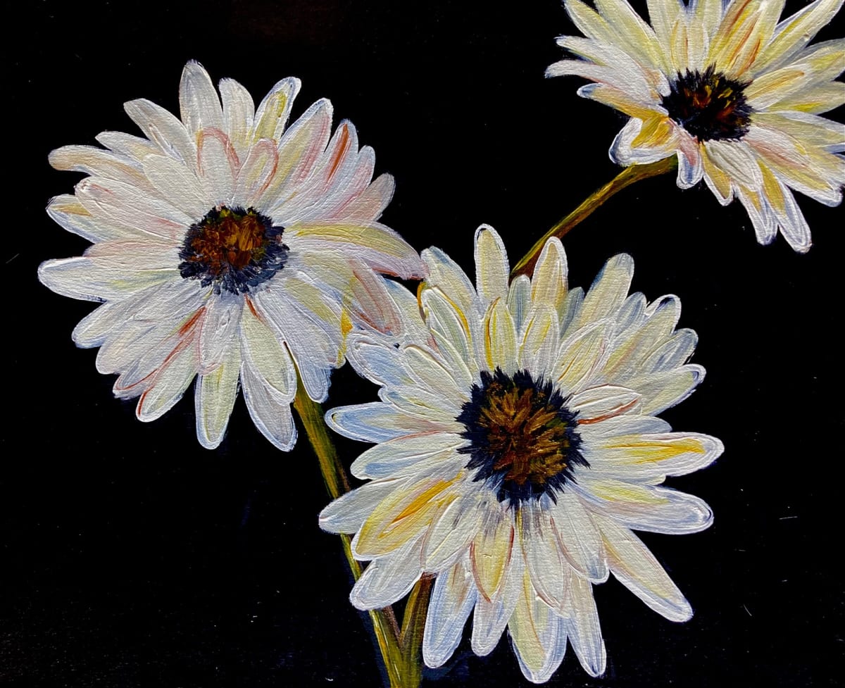DAISIES! Photo