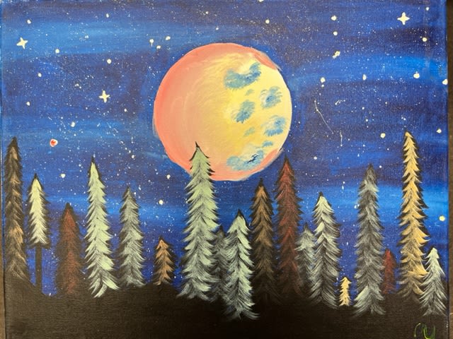 Moonlit Forest with Jill!👍👍👍 Photo