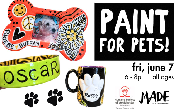 PAINT FOR PETS  |  spring fundraiser event Photo