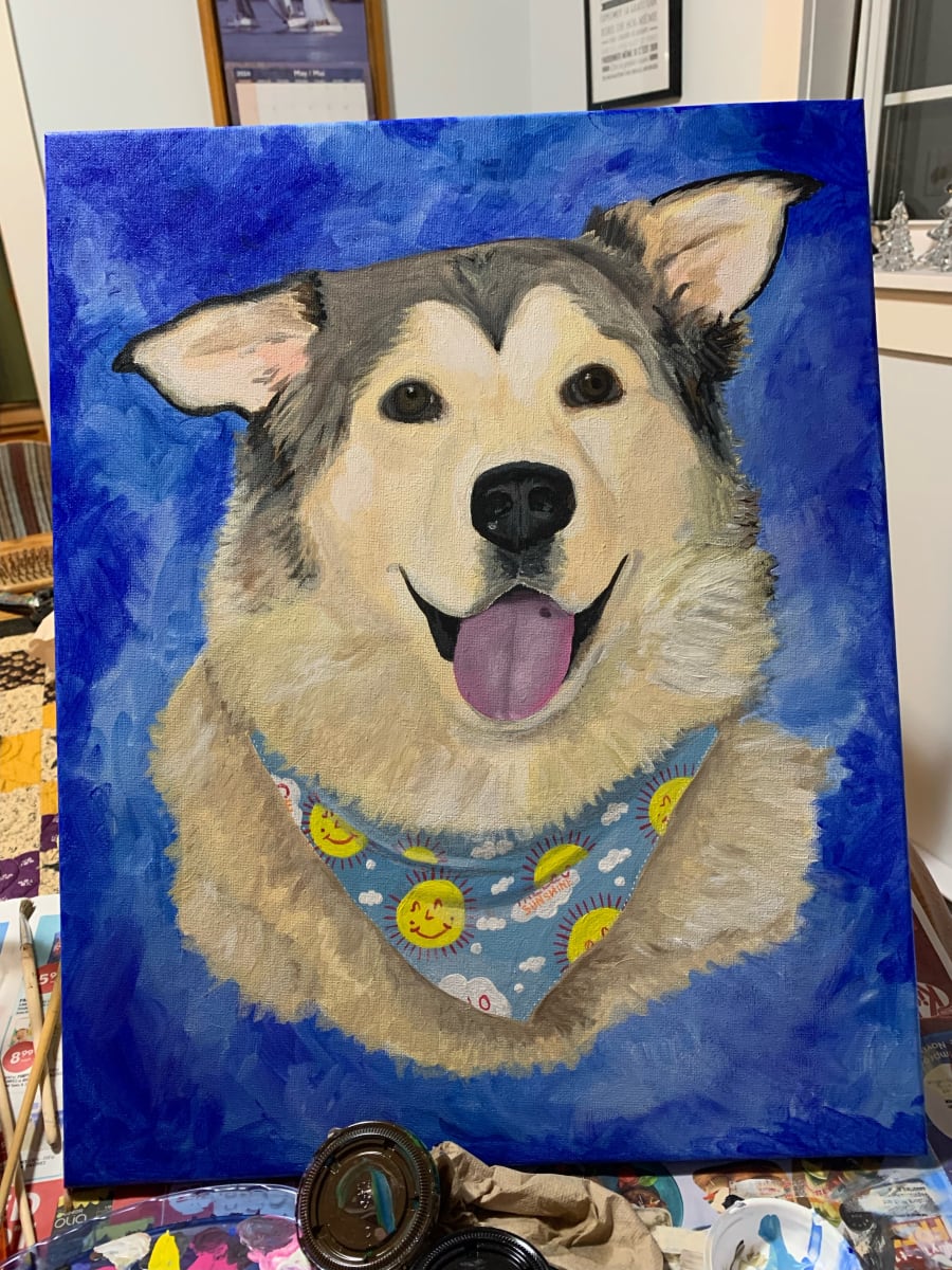 Pet Portraits SNOWDOGS Photo