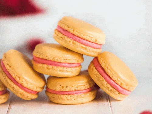 Lemon Raspberry Macaron Workshop - Ages 9+ Photo