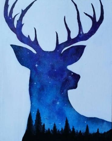 STARRY BUCK Photo