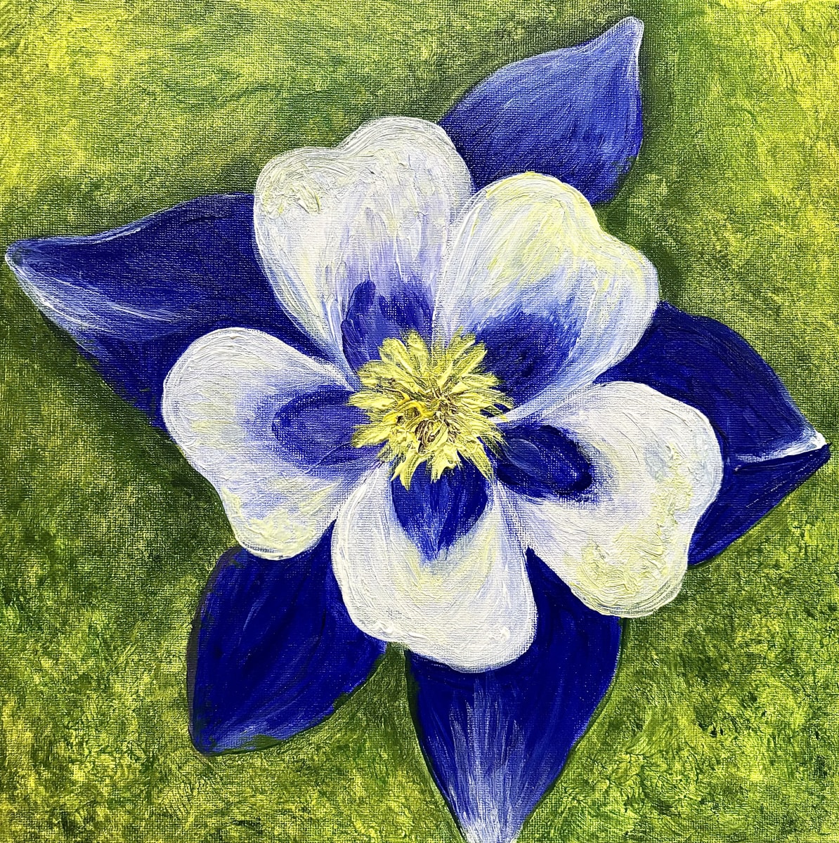 CELEBRATE COLORADO ~ STATE FLOWER Photo