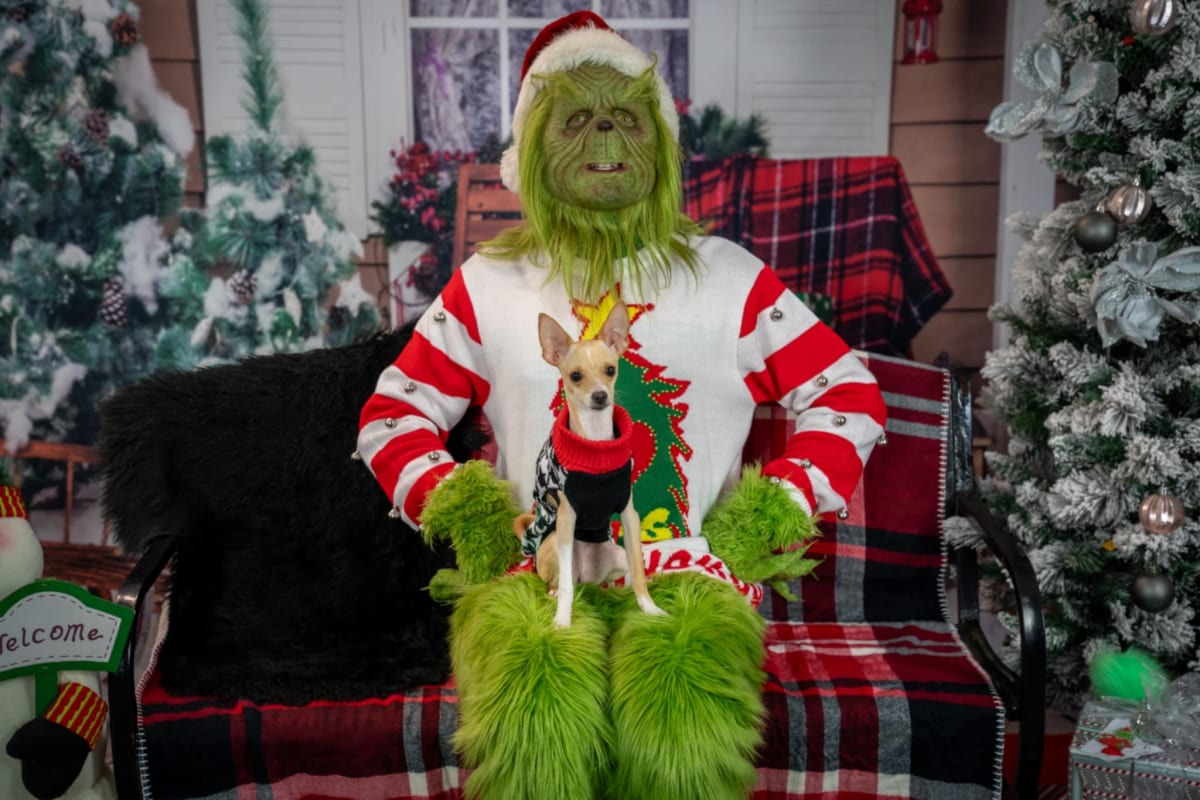 Paint with the Grinch Photo