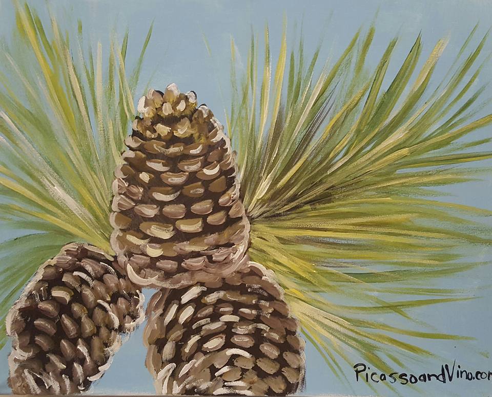 PINE CONES Photo
