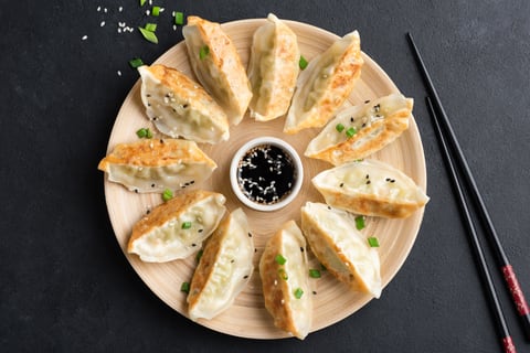FUNdamentals: Dumplings for Days Photo