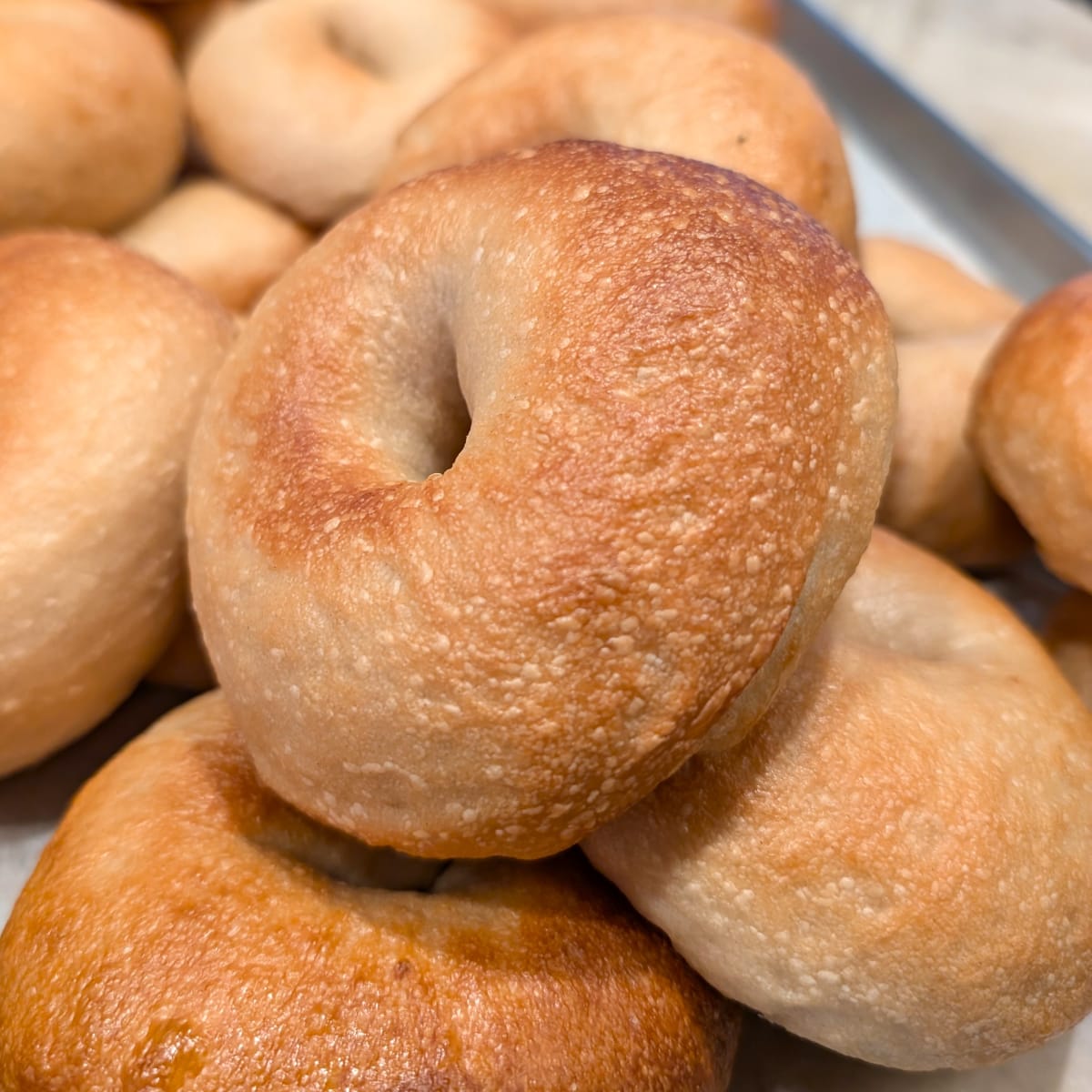 Bagel Bakery: Crafting New York-Style Beauties - 08/15/2026 Photo