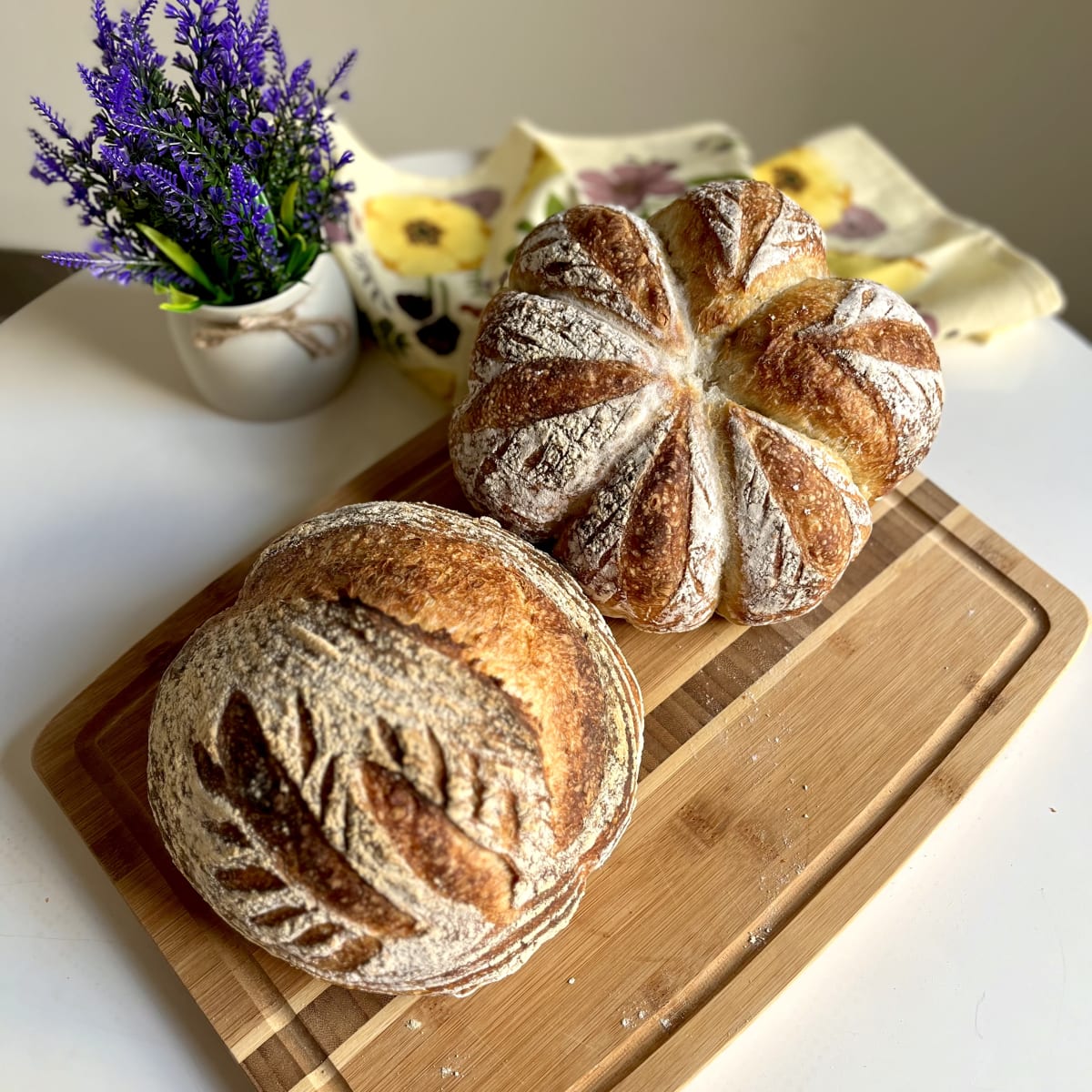 The Art and Science of Sourdough Photo