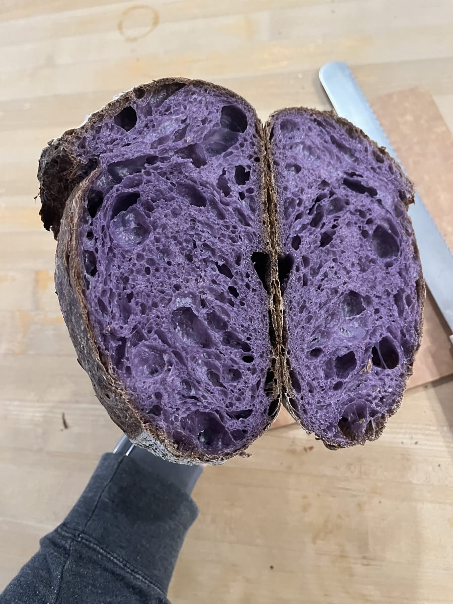 The Art and Science of Sourdough Photo
