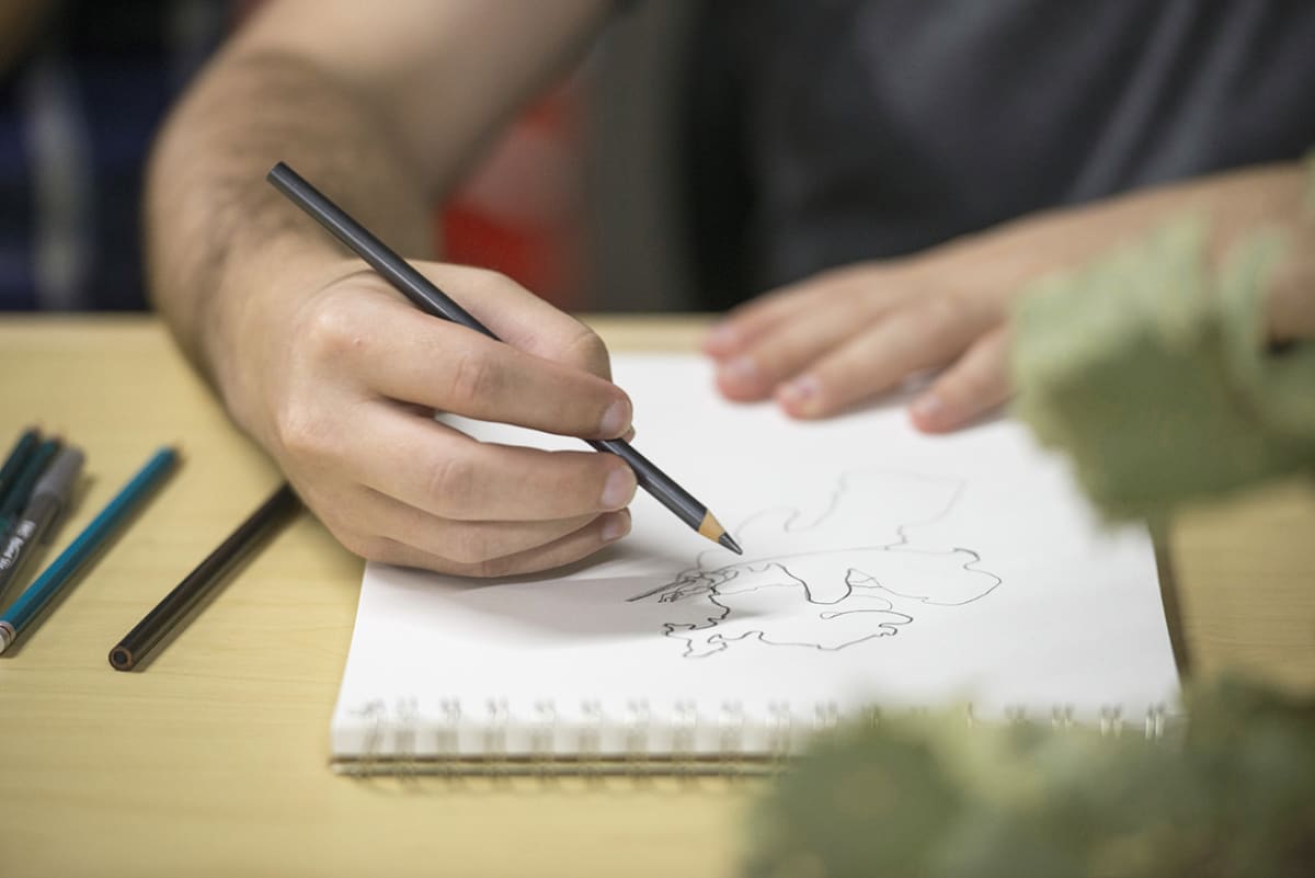 CLASS: Drawing- Basics for kids: Ages 6-12 Photo
