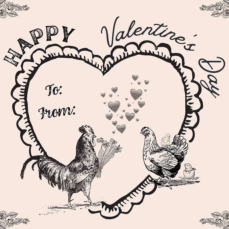 Saltwell Farm Kitchen Valentines Dinner Photo