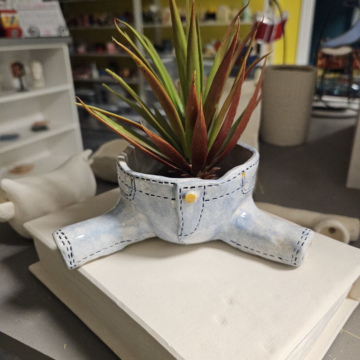 Clay Plant Pants Photo